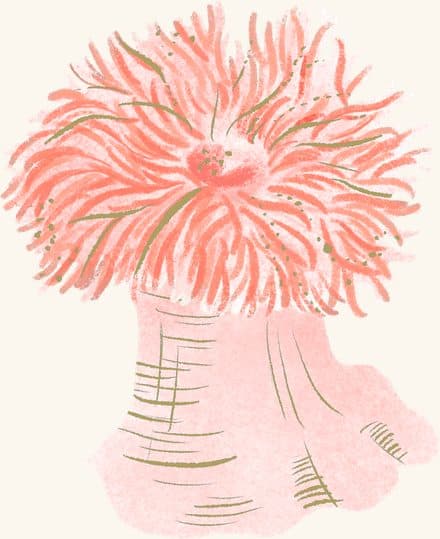 Frilled Anemone — an illustrated motif from the Billion Oyster Project mural