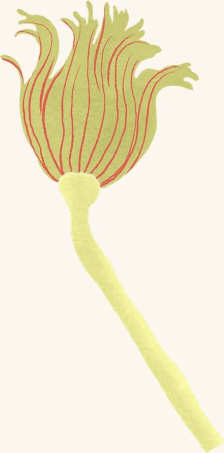 Hydroid — an illustrated motif from the Billion Oyster Project mural
