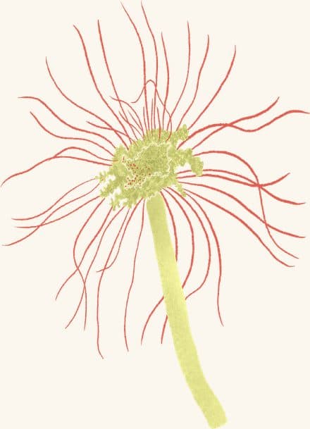 Hydroids — an illustrated motif from the Billion Oyster Project mural
