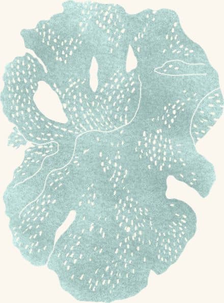 Lacy Bryozoan — an illustrated motif from the Billion Oyster Project mural