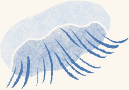 Moon Jelly — an illustrated motif from the Billion Oyster Project mural