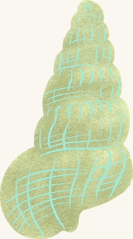 Mud Snail — an illustrated motif from the Billion Oyster Project mural
