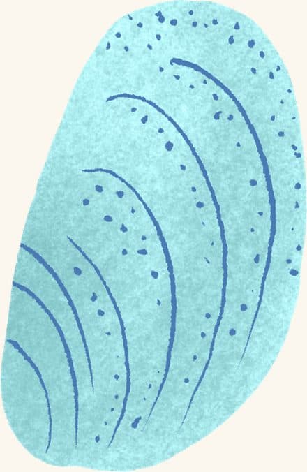 Mussel — an illustrated motif from the Billion Oyster Project mural