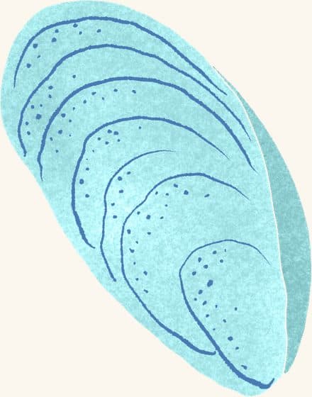 Mussels — an illustrated motif from the Billion Oyster Project mural