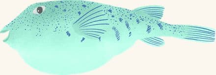 Northern Pufferfish — an illustrated motif from the Billion Oyster Project mural