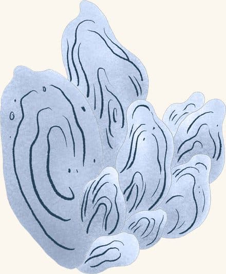 Oyster Clump (blue) — an illustrated motif from the Billion Oyster Project mural