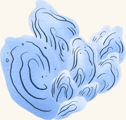 Oyster Clump (blue) — an illustrated motif from the Billion Oyster Project mural