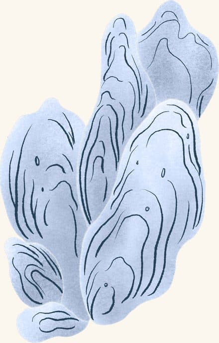 Oyster Clump (blue) — an illustrated motif from the Billion Oyster Project mural