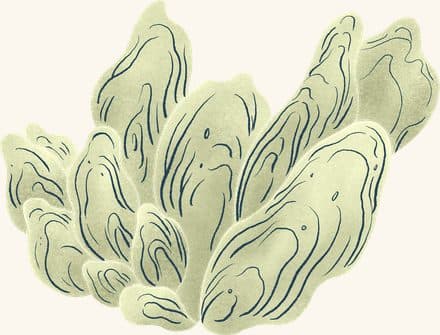 Oyster Clump (tan) — an illustrated motif from the Billion Oyster Project mural
