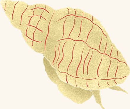 Oyster Drill — an illustrated motif from the Billion Oyster Project mural