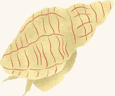 Oyster Drill — an illustrated motif from the Billion Oyster Project mural