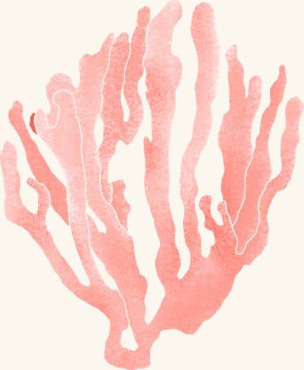 Red Beard Sponge — an illustrated motif from the Billion Oyster Project mural