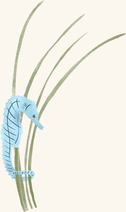 Sea horse — an illustrated motif from the Billion Oyster Project mural