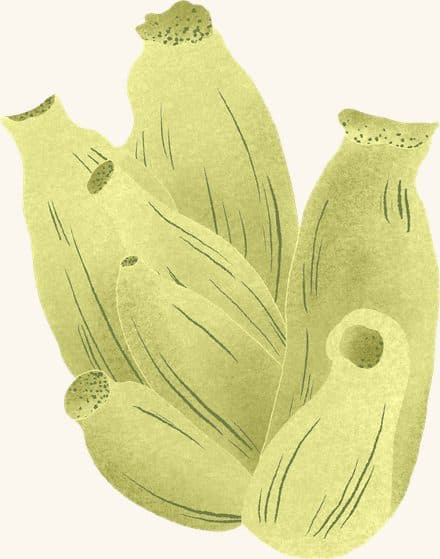 Sea Squirt — an illustrated motif from the Billion Oyster Project mural