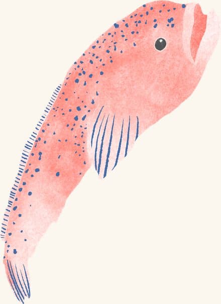 Skilletfish — an illustrated motif from the Billion Oyster Project mural