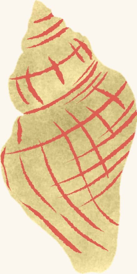 Snail — an illustrated motif from the Billion Oyster Project mural