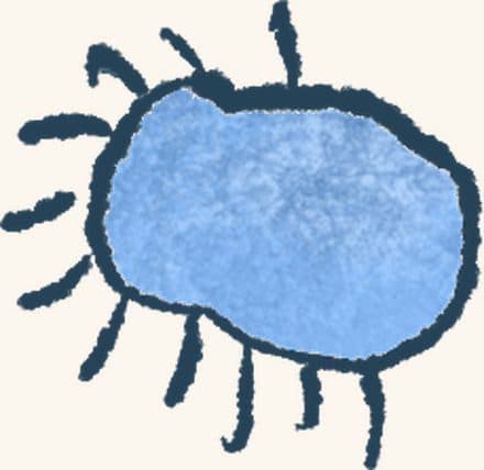 Spat — an illustrated motif from the Billion Oyster Project mural