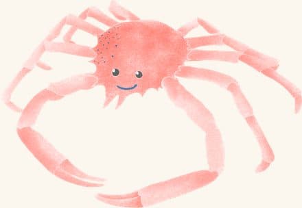 Spider Crab — an illustrated motif from the Billion Oyster Project mural