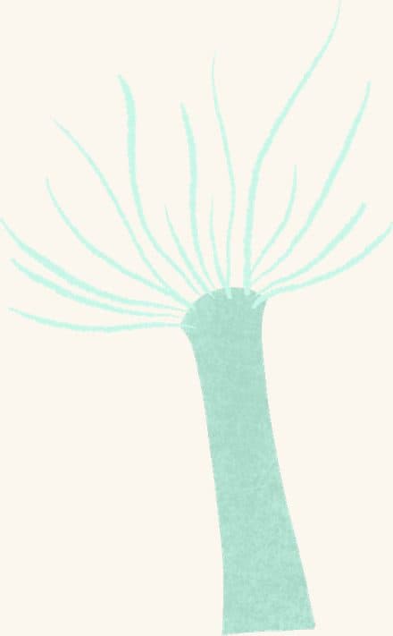 Striped Anemone — an illustrated motif from the Billion Oyster Project mural