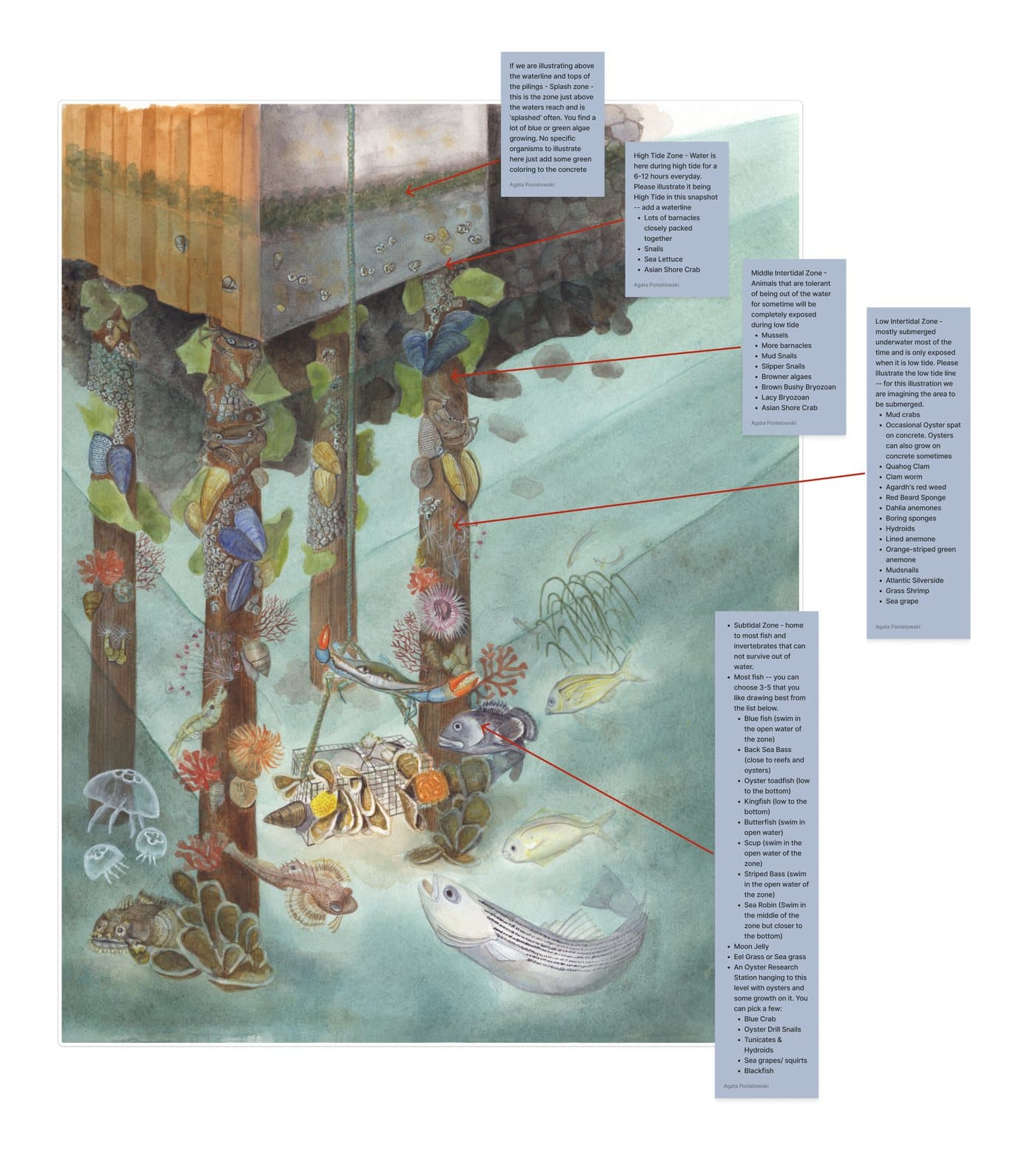 An annotated illustration of the piling corner, with callouts naming the estuary wildlife in the scene