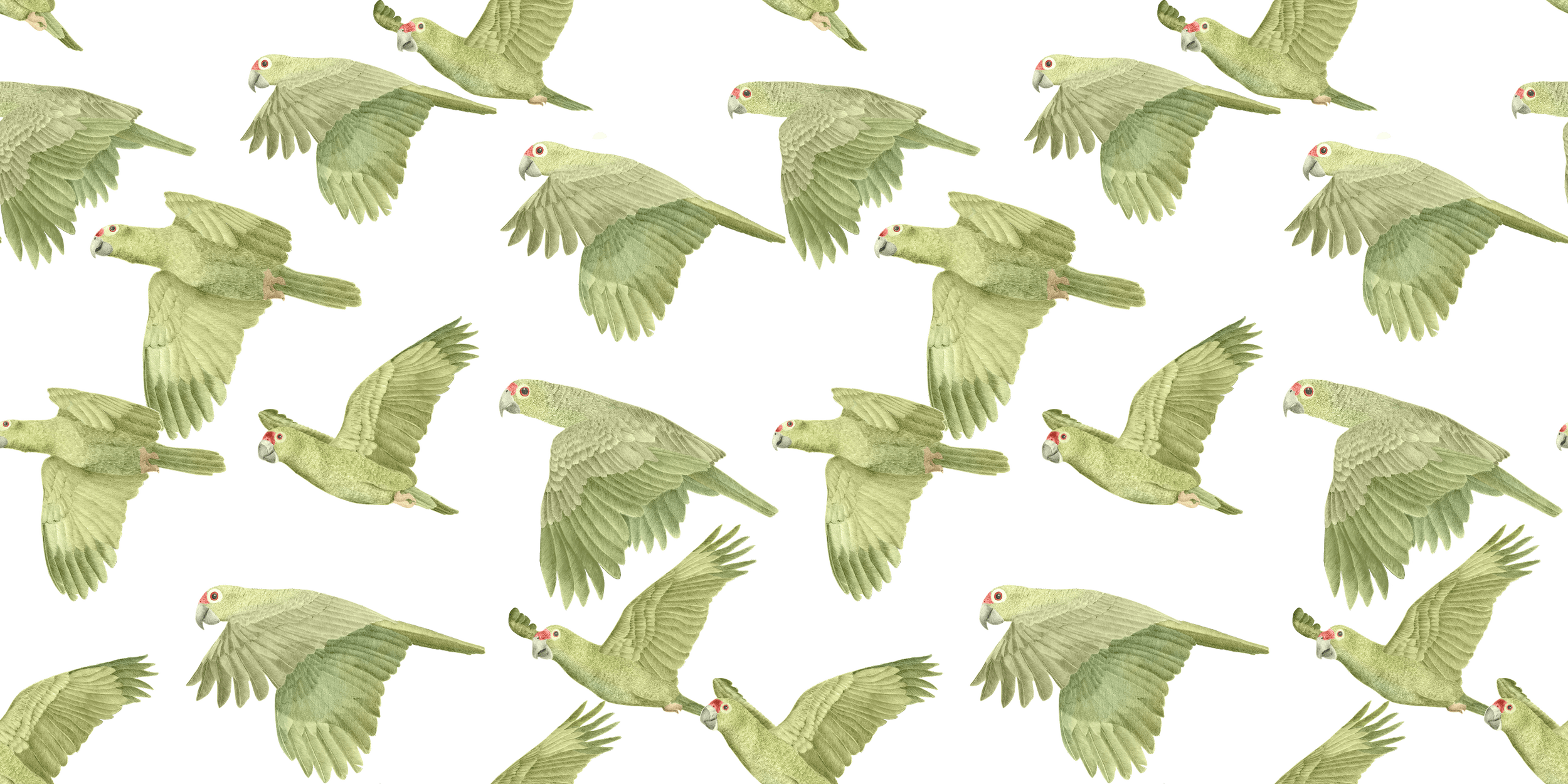A repeating pattern of red-lored parrots in flight, painted in soft greens