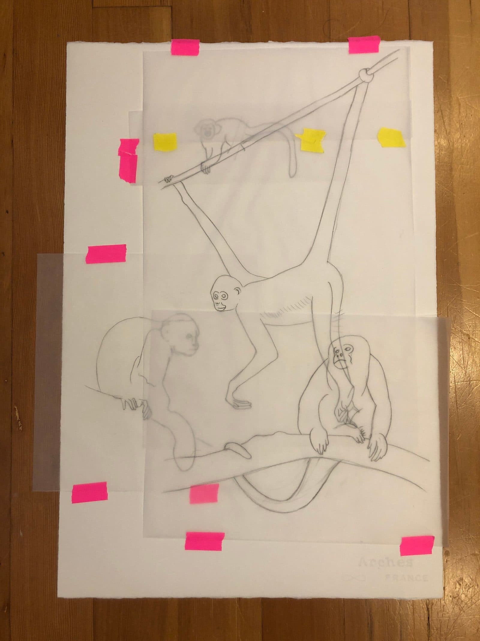 A layout sketch of monkeys on tracing paper, taped together with pink and yellow tape on a wooden floor