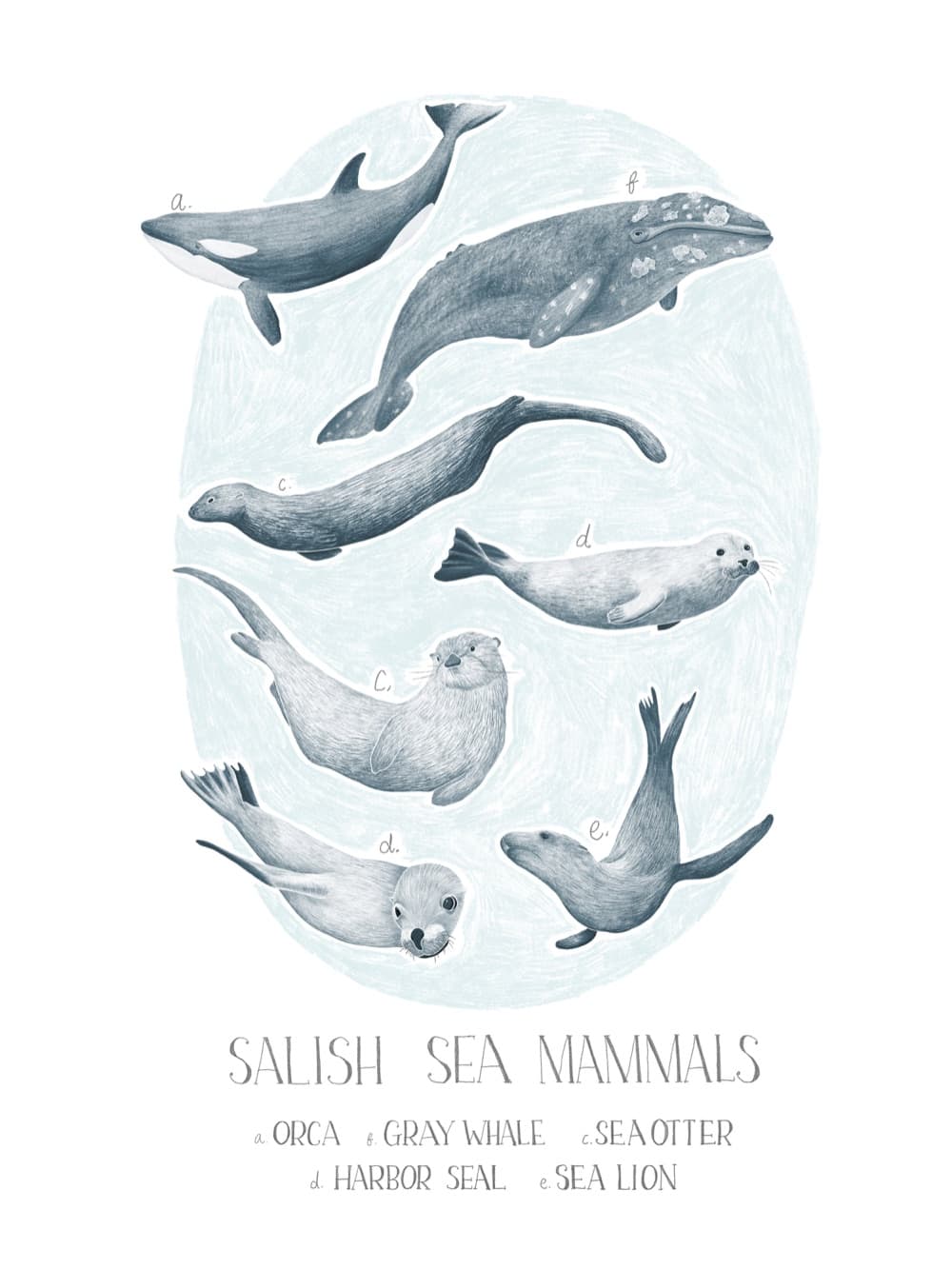 An Olympic National Park mammal field-guide print