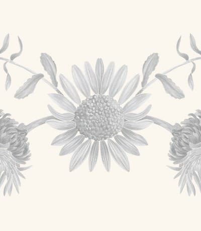 A graphite study of a gumweed