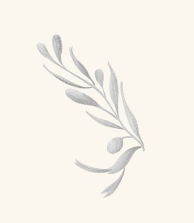A graphite study of a rockweed