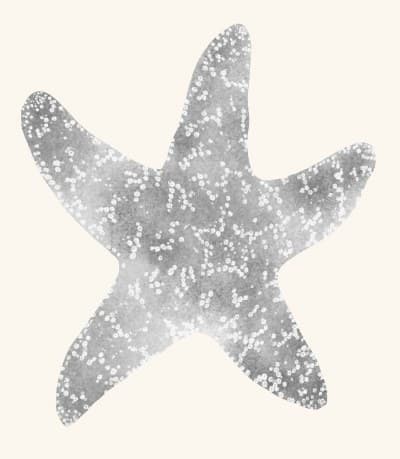 A graphite study of a sea star