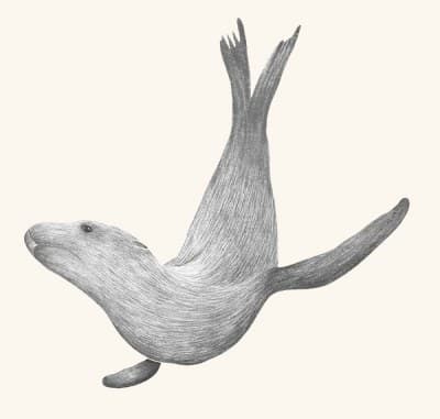 A graphite botanical and wildlife study