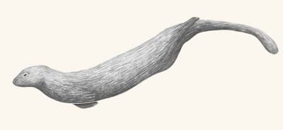 A graphite botanical and wildlife study