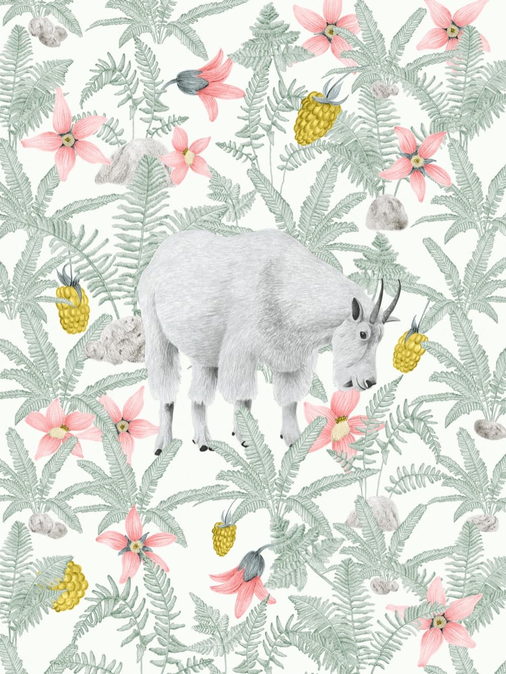 A mountain goat art print