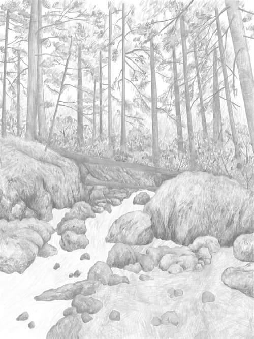 A graphite study working out the composition of the forest stream scene