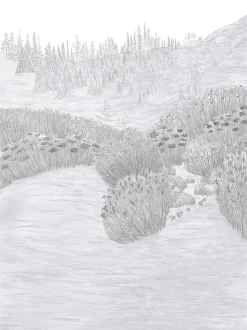 A graphite study working out the composition of the alpine meadow scene