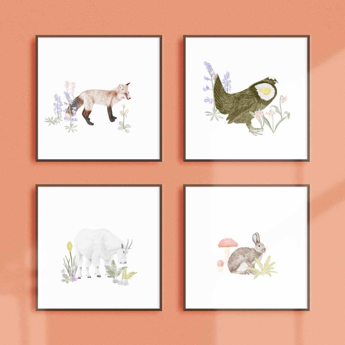 Four framed animal prints — red fox, sooty grouse, mountain goat, and snowshoe hare — on a terracotta wall