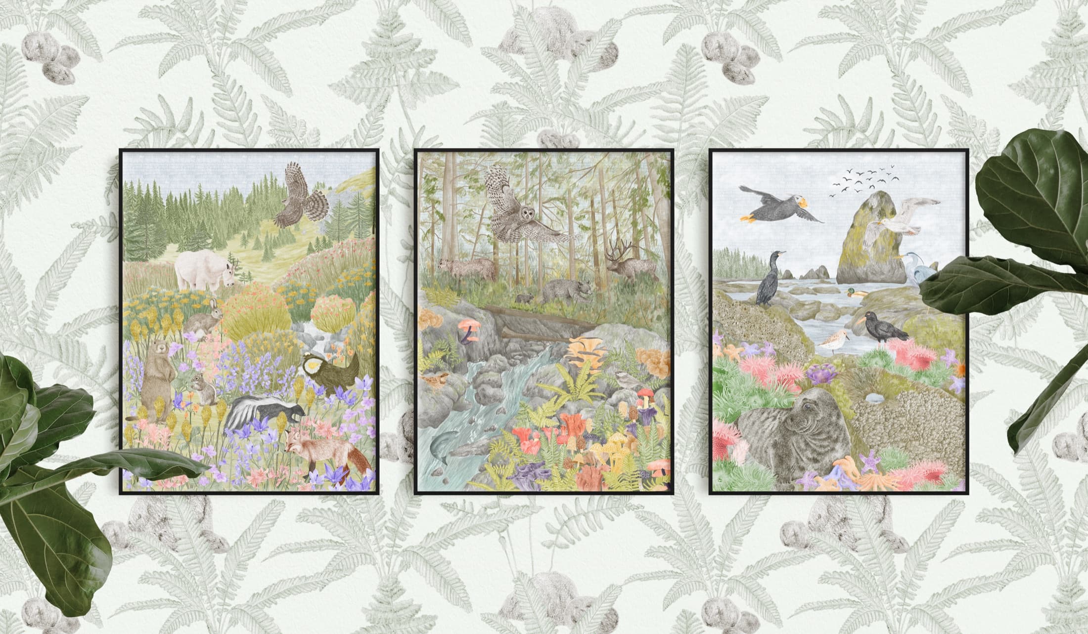 Three framed prints of the Olympic National Park scenes hung on a fern-patterned wall