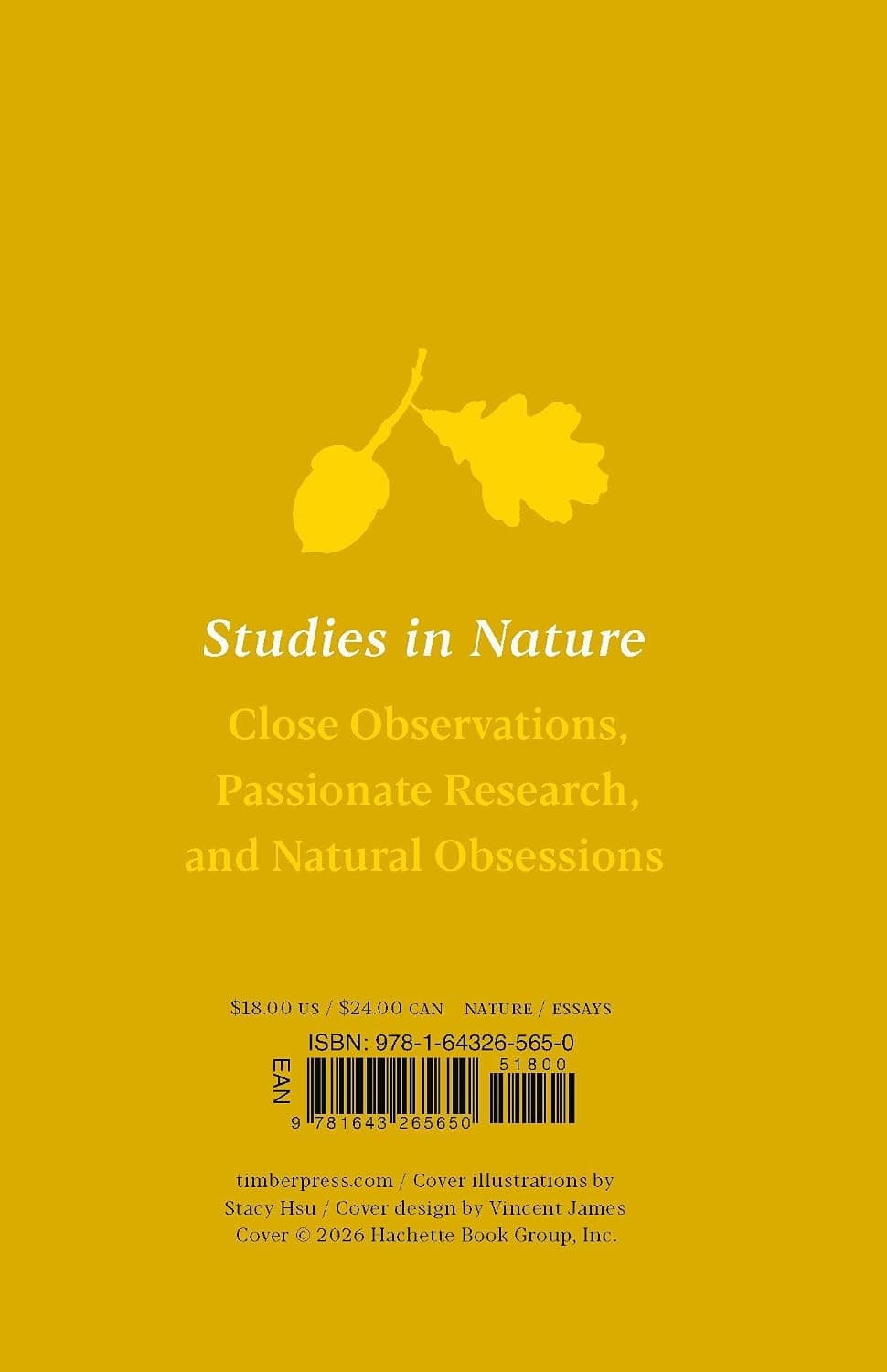Back cover of Acorns: In a Nutshell